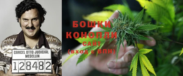 прущие крисы Алексин