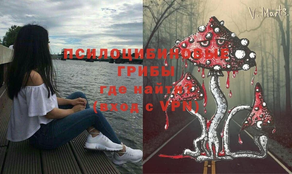 spice Алзамай