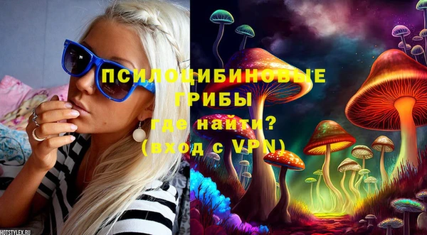 дживик Михайловка